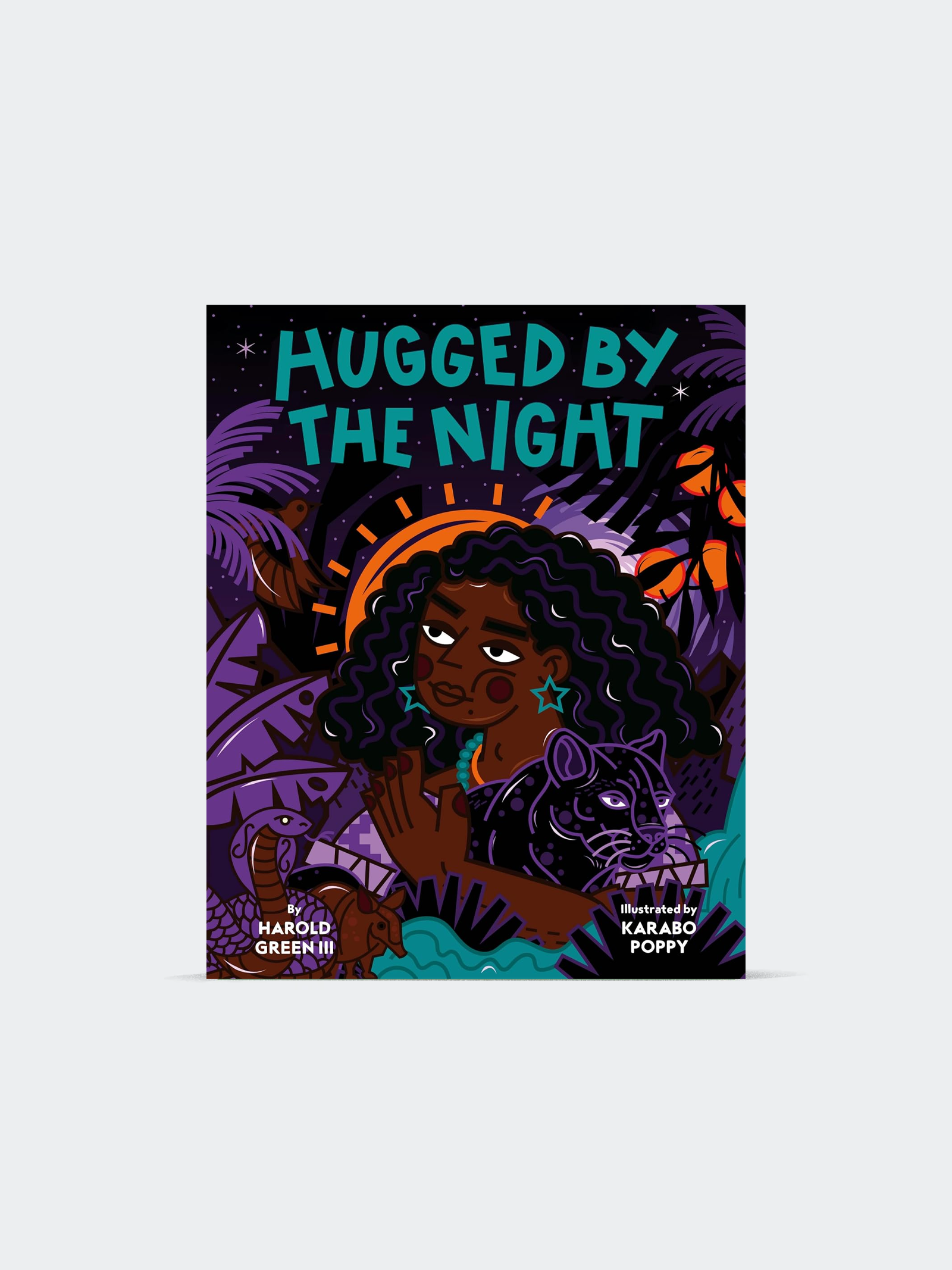 Hugged by the Night (Hardcover)