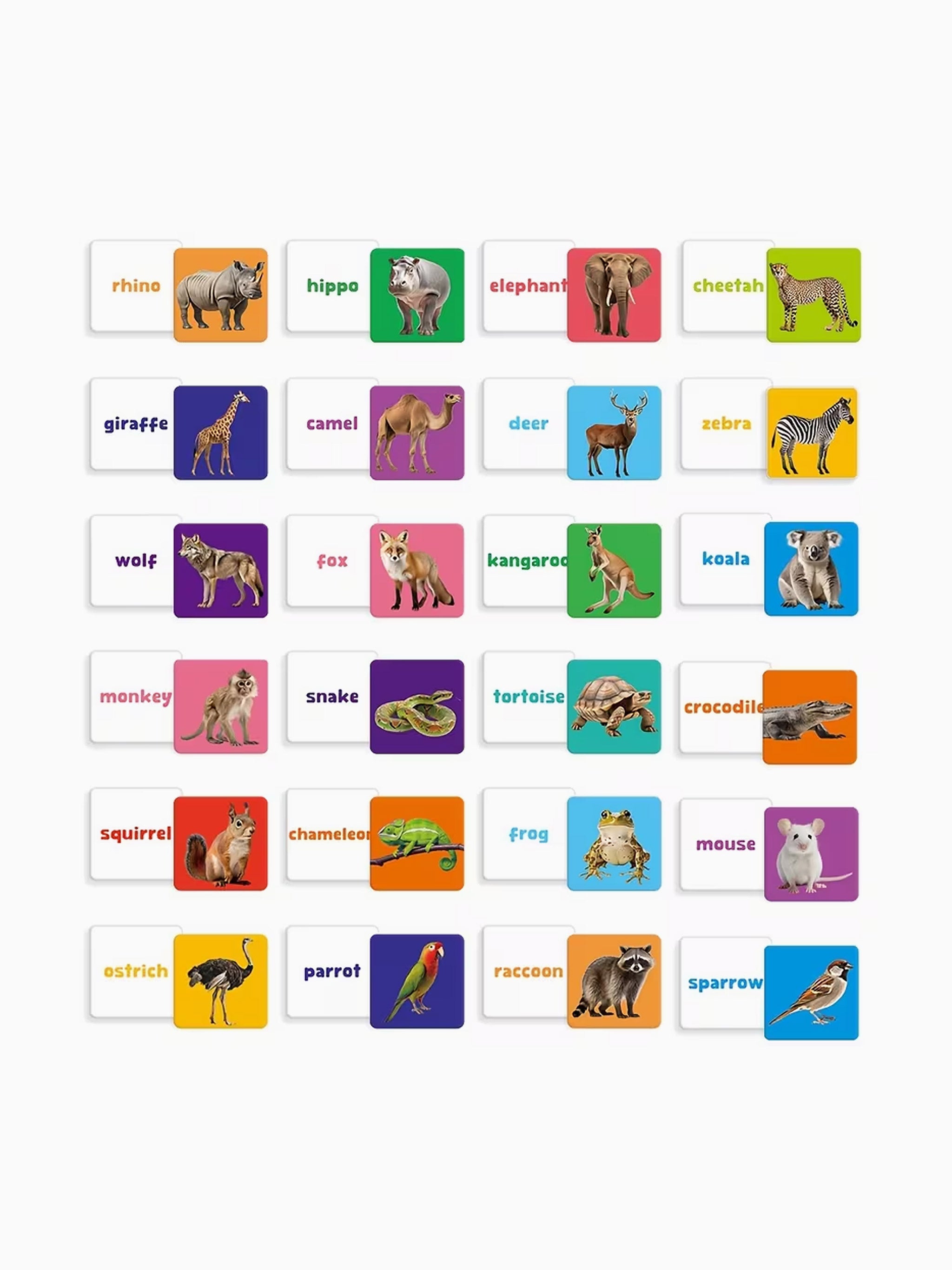 Animals Flashcard Set (54 Cards)
