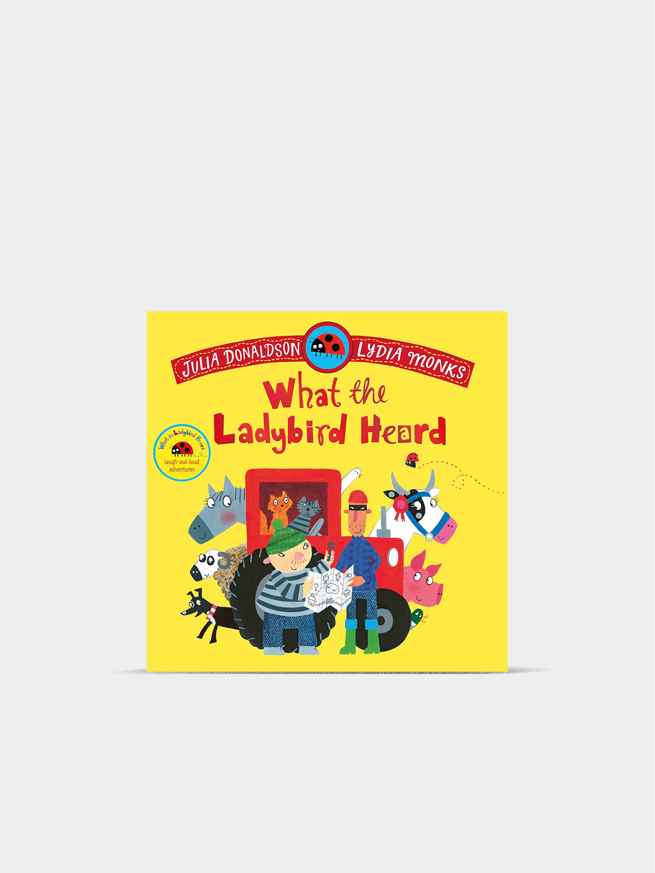 What the Ladybird Heard (Paperback)