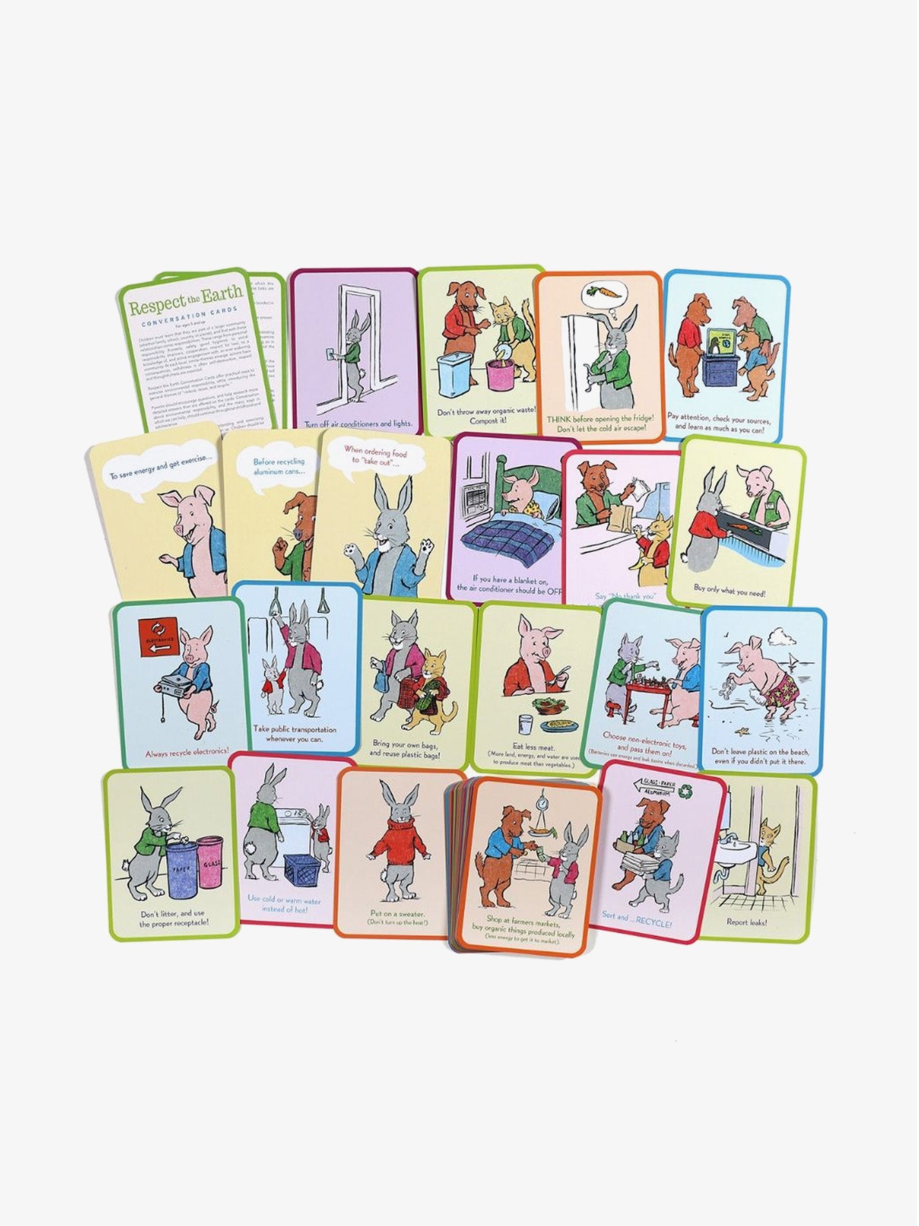 Respect the Earth Flash Cards (48 Piece)