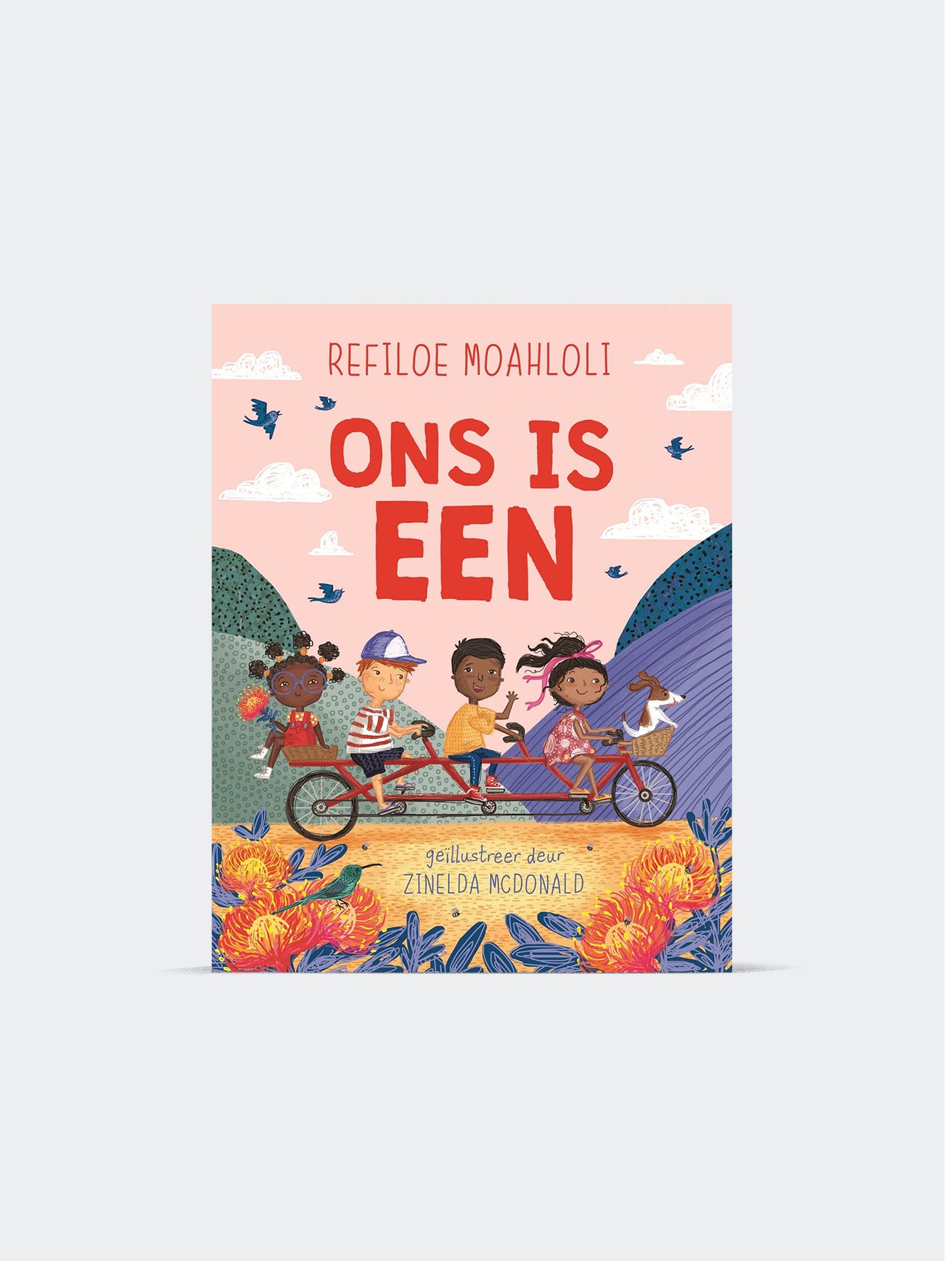 Ons is Een (Paperback)