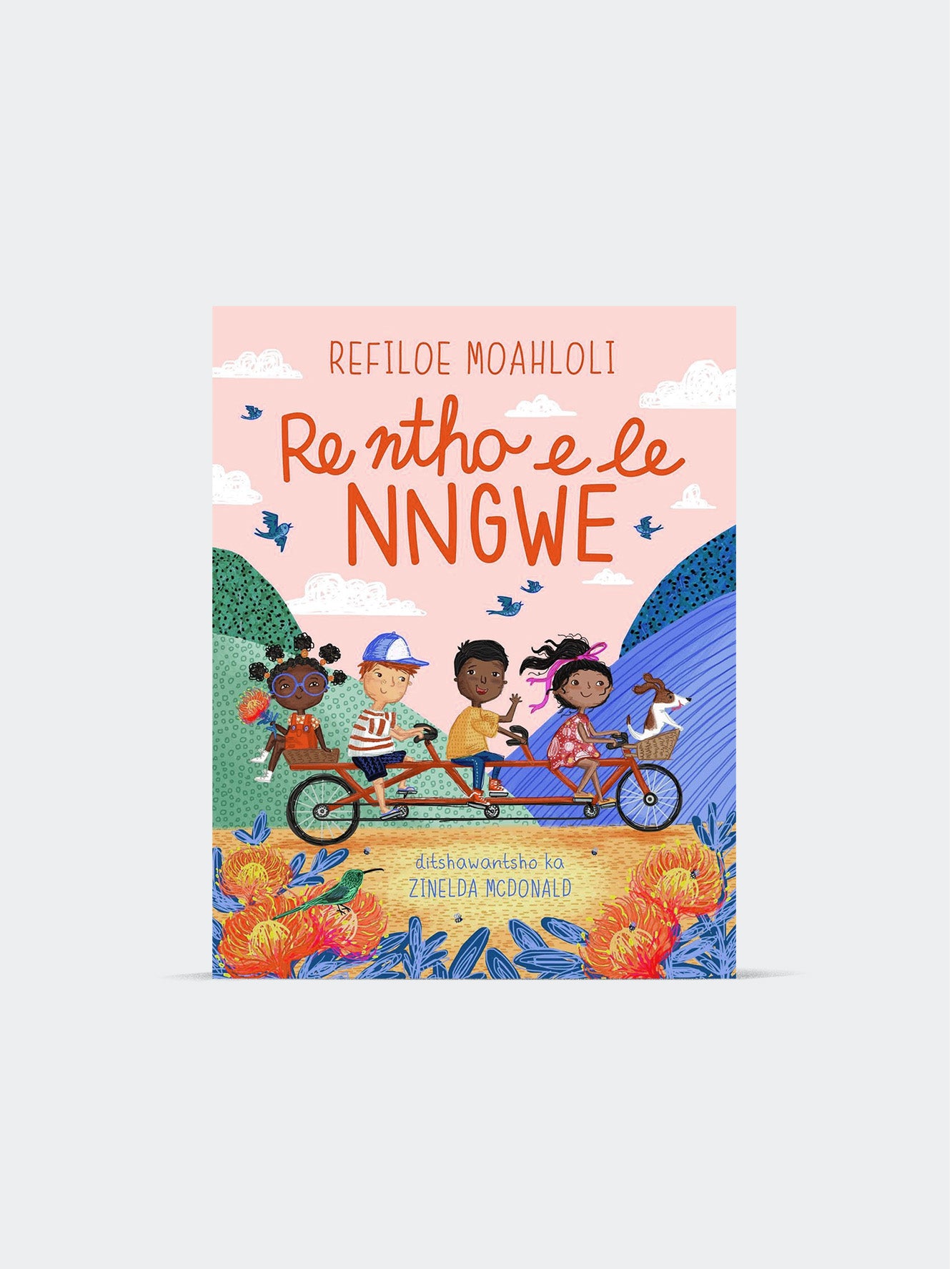 Re ntho e le nngwe (Paperback)
