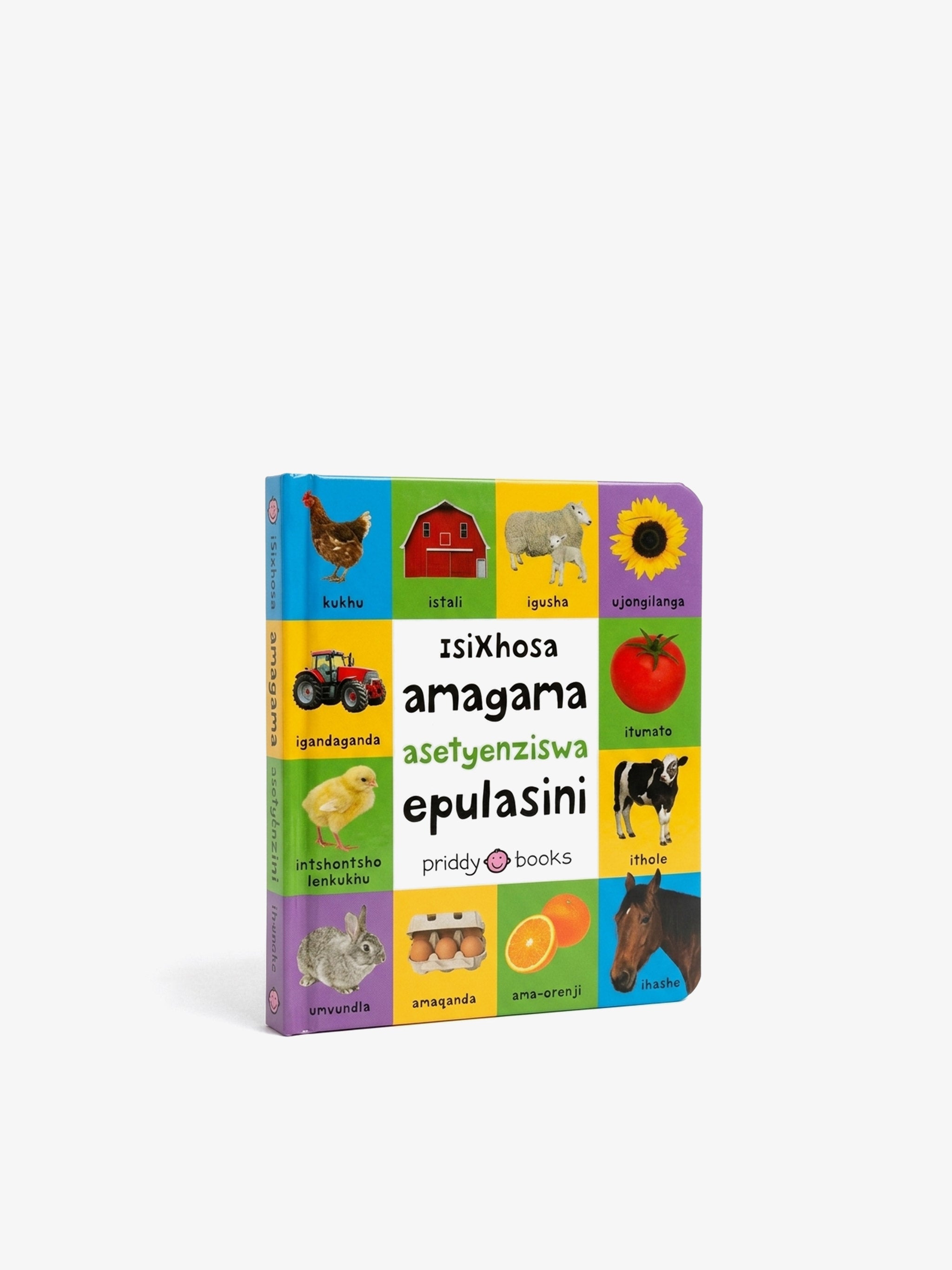 amagama asetyenziswa epulasini (Board Book)