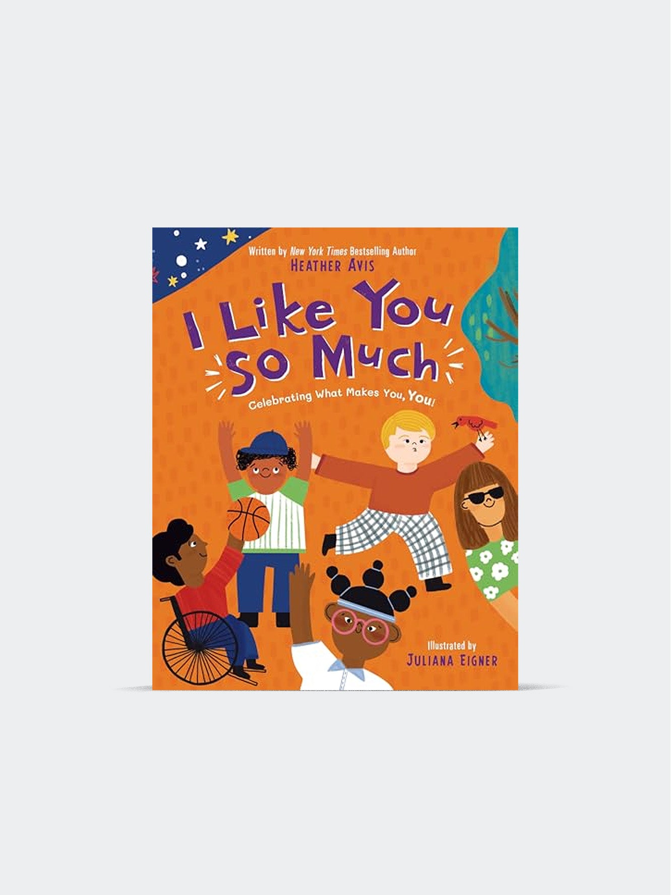 I Like You So Much (Paperback)
