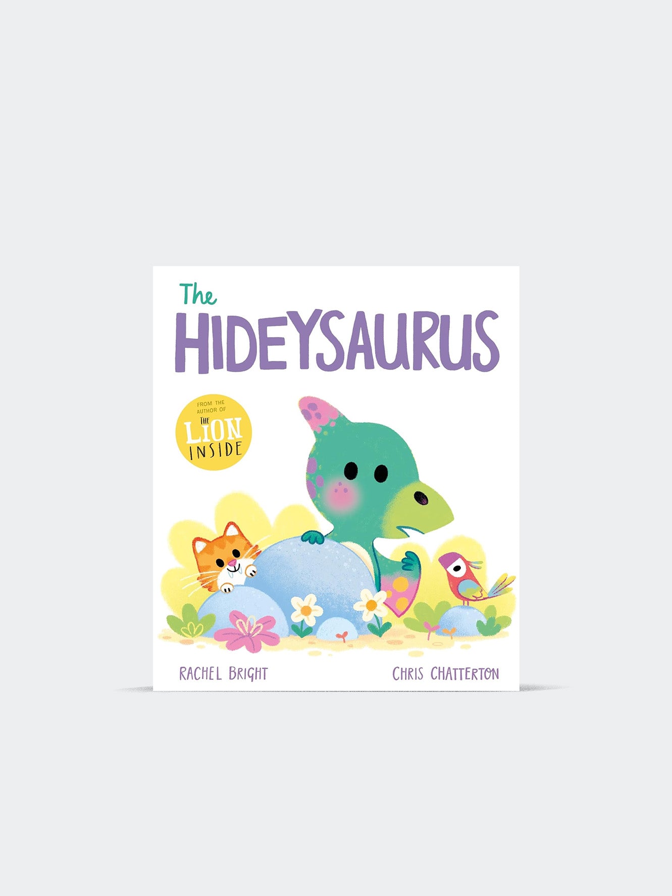 The Hideysaurus (Paperback)