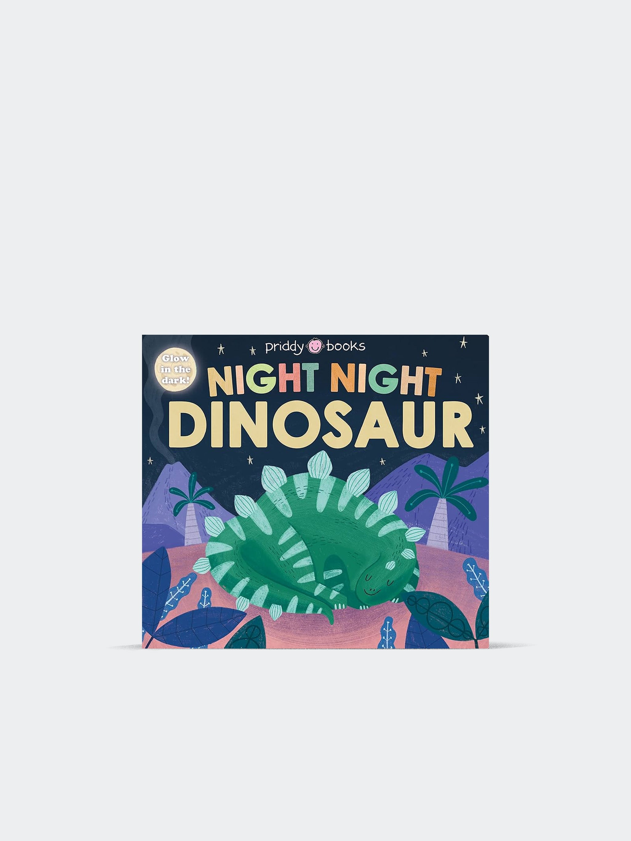 Night Night Dinosaur (Board Book)