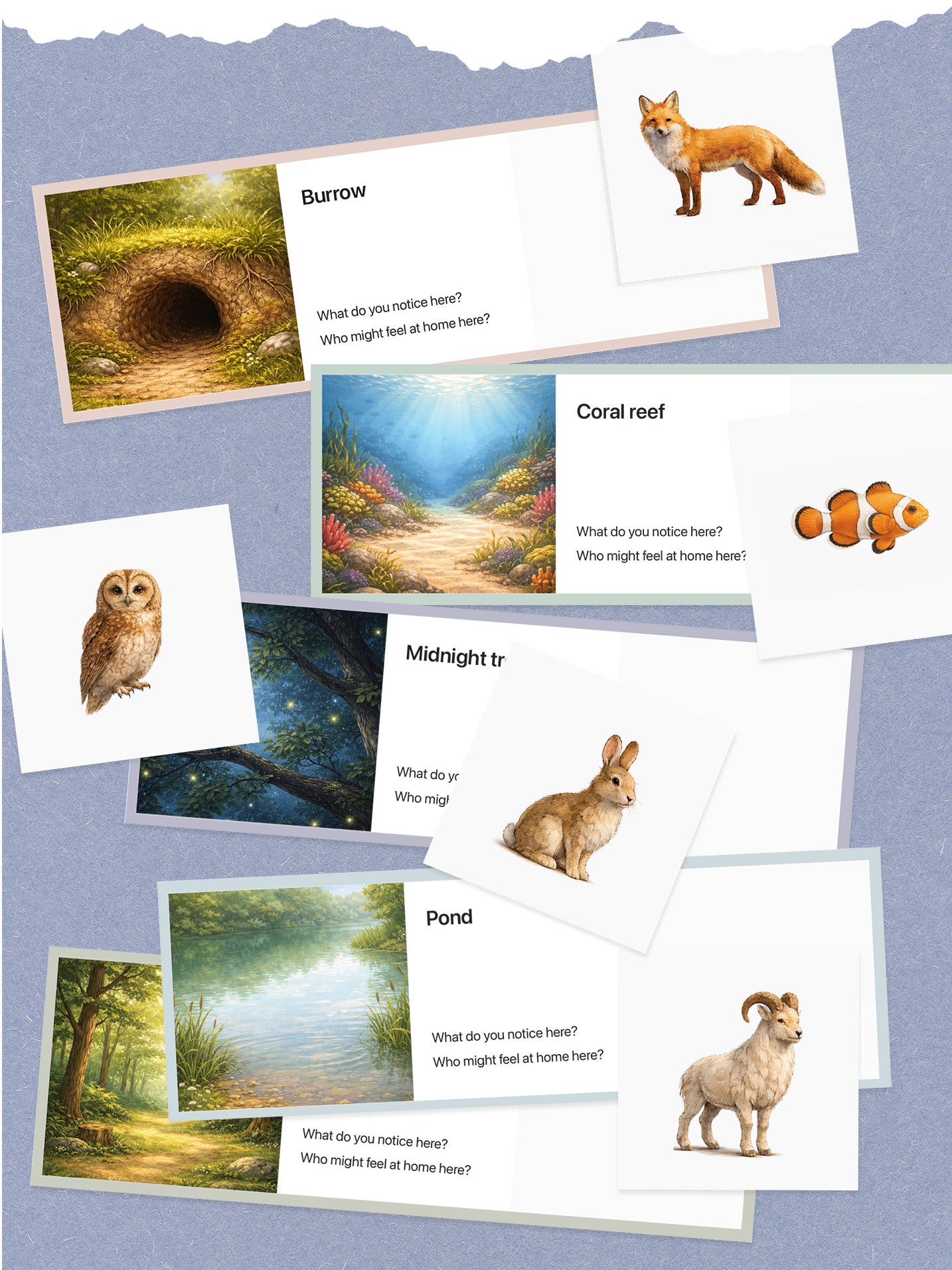 Homes in Nature ʳᵒ (12 Piece)