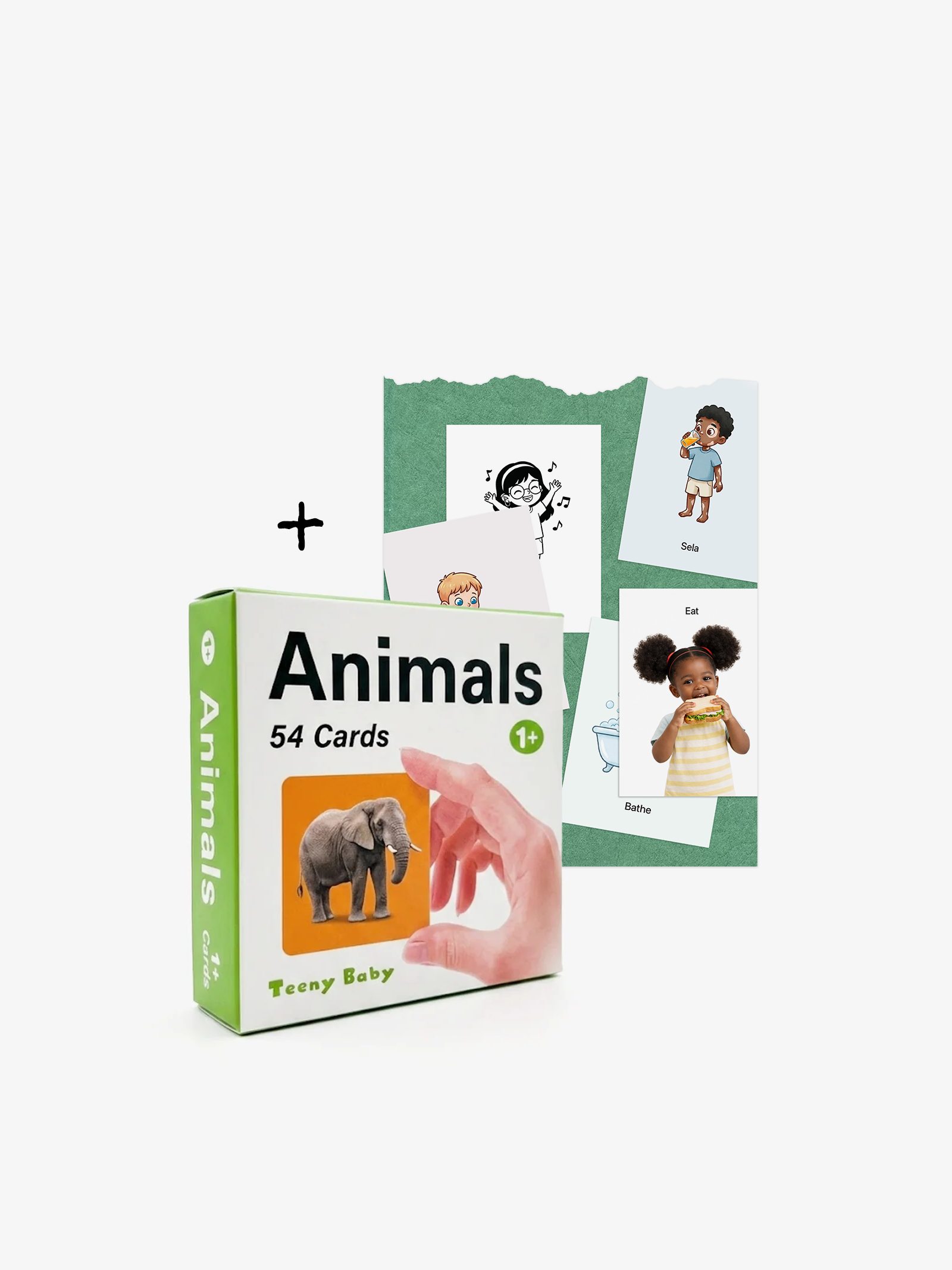 Animals Flashcard Set B (54 Cards)
